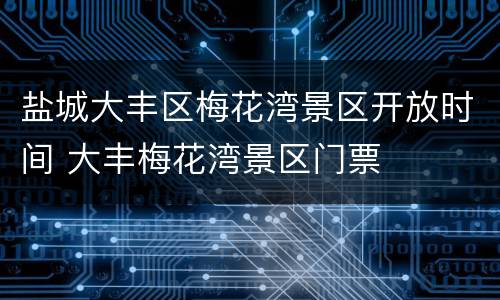 盐城大丰区梅花湾景区开放时间 大丰梅花湾景区门票
