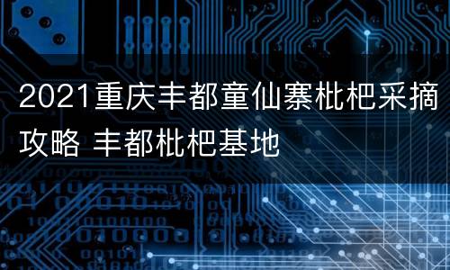 2021重庆丰都童仙寨枇杷采摘攻略 丰都枇杷基地