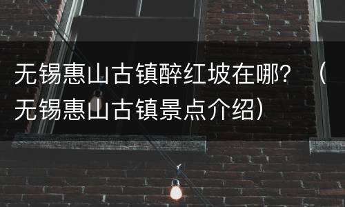 无锡惠山古镇醉红坡在哪？（无锡惠山古镇景点介绍）