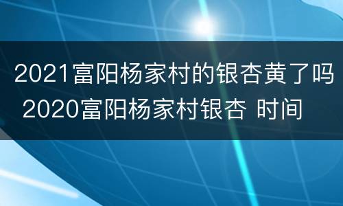 2021富阳杨家村的银杏黄了吗 2020富阳杨家村银杏 时间