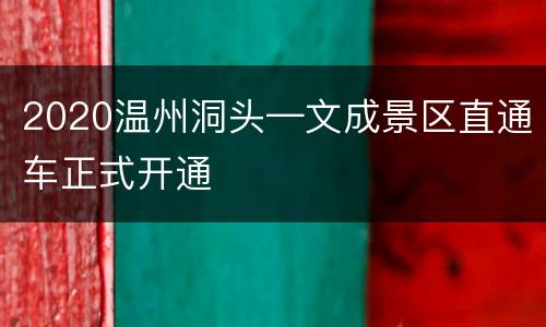 2020温州洞头—文成景区直通车正式开通
