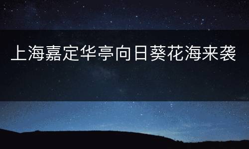 上海嘉定华亭向日葵花海来袭