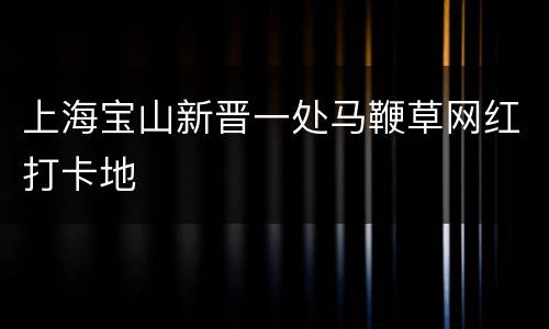 上海宝山新晋一处马鞭草网红打卡地