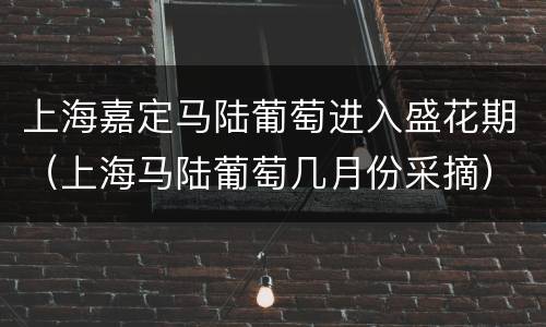 上海嘉定马陆葡萄进入盛花期（上海马陆葡萄几月份采摘）