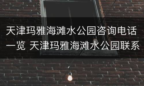 天津玛雅海滩水公园咨询电话一览 天津玛雅海滩水公园联系方式
