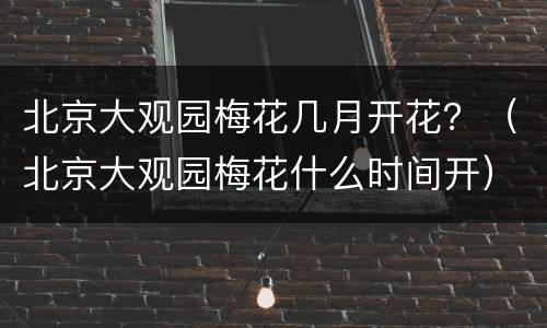 北京大观园梅花几月开花？（北京大观园梅花什么时间开）