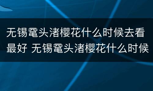 无锡鼋头渚樱花什么时候去看最好 无锡鼋头渚樱花什么时候谢