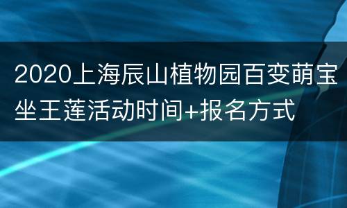 2020上海辰山植物园百变萌宝坐王莲活动时间+报名方式
