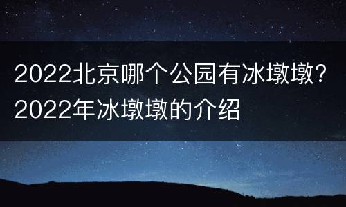 2022北京哪个公园有冰墩墩? 2022年冰墩墩的介绍