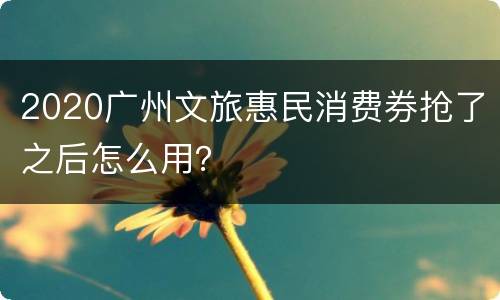 2020广州文旅惠民消费券抢了之后怎么用？
