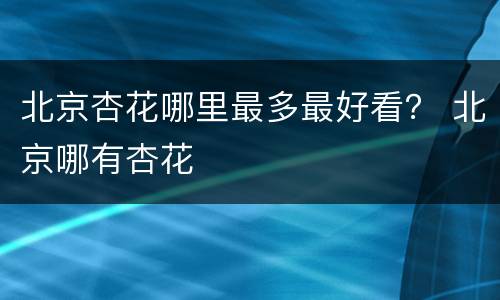 北京杏花哪里最多最好看？ 北京哪有杏花
