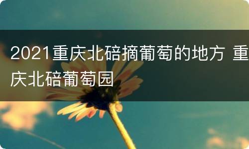 2021重庆北碚摘葡萄的地方 重庆北碚葡萄园