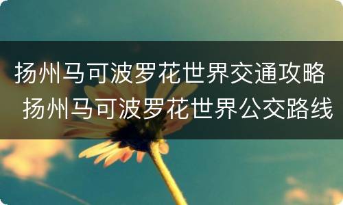 扬州马可波罗花世界交通攻略 扬州马可波罗花世界公交路线