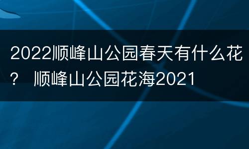 2022顺峰山公园春天有什么花？ 顺峰山公园花海2021
