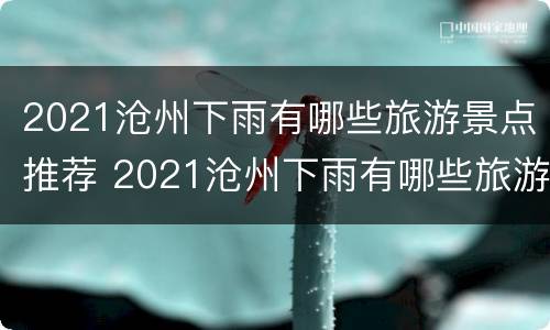 2021沧州下雨有哪些旅游景点推荐 2021沧州下雨有哪些旅游景点推荐呢