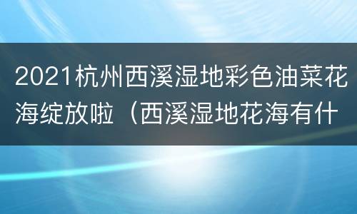 2021杭州西溪湿地彩色油菜花海绽放啦（西溪湿地花海有什么花）