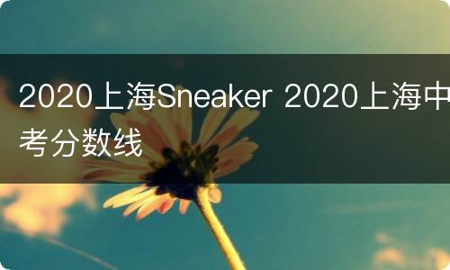 2020上海Sneaker 2020上海中考分数线