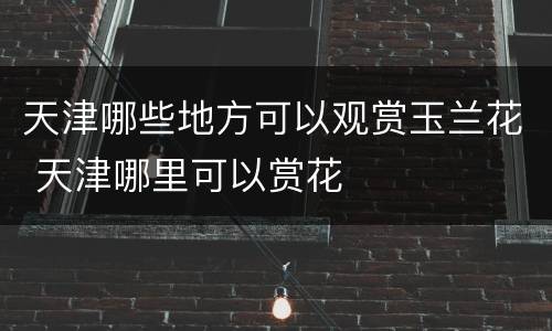 天津哪些地方可以观赏玉兰花 天津哪里可以赏花