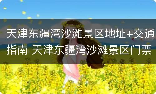 天津东疆湾沙滩景区地址+交通指南 天津东疆湾沙滩景区门票