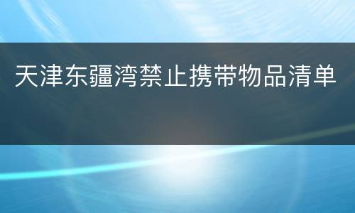 天津东疆湾禁止携带物品清单