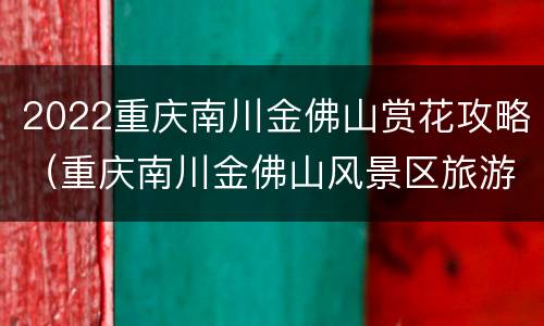 2022重庆南川金佛山赏花攻略（重庆南川金佛山风景区旅游攻略）