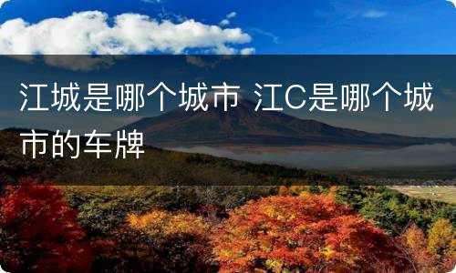 江城是哪个城市 江C是哪个城市的车牌