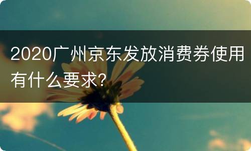 2020广州京东发放消费券使用有什么要求？