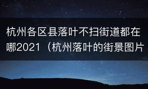 杭州各区县落叶不扫街道都在哪2021（杭州落叶的街景图片）