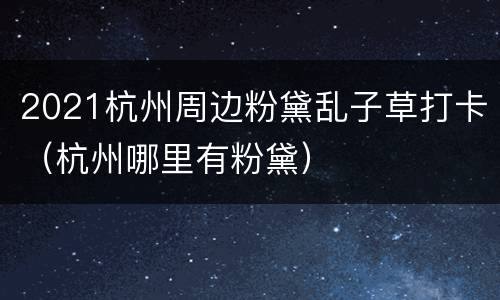 2021杭州周边粉黛乱子草打卡（杭州哪里有粉黛）