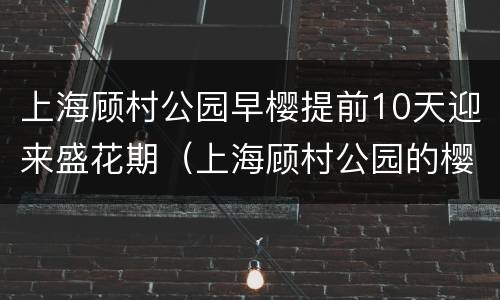 上海顾村公园早樱提前10天迎来盛花期（上海顾村公园的樱花最佳赏花期是什么时候）