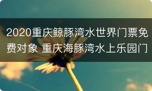 2020重庆鲸豚湾水世界门票免费对象 重庆海豚湾水上乐园门票
