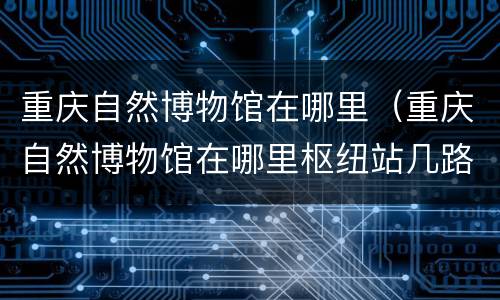 重庆自然博物馆在哪里（重庆自然博物馆在哪里枢纽站几路?）