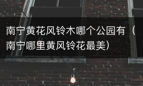 南宁黄花风铃木哪个公园有（南宁哪里黄风铃花最美）