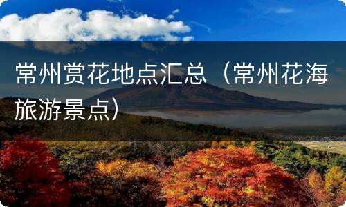 常州赏花地点汇总（常州花海旅游景点）