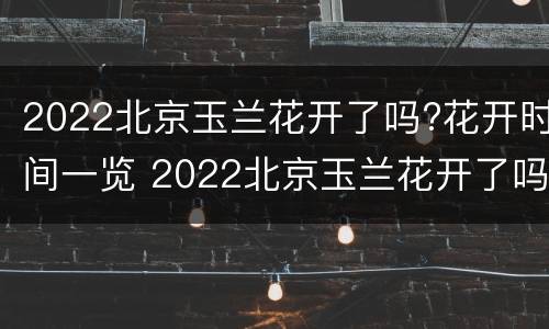 2022北京玉兰花开了吗?花开时间一览 2022北京玉兰花开了吗?花开时间一览图