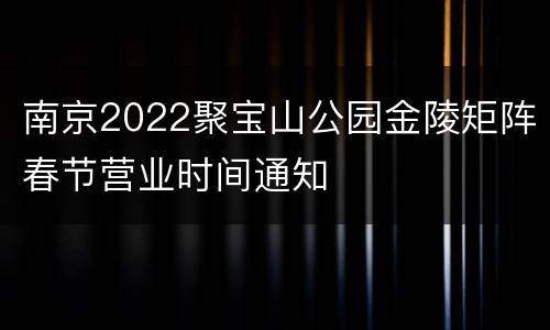 南京2022聚宝山公园金陵矩阵春节营业时间通知