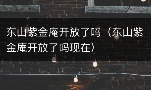 东山紫金庵开放了吗（东山紫金庵开放了吗现在）