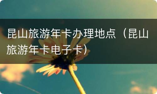 昆山旅游年卡办理地点（昆山旅游年卡电子卡）