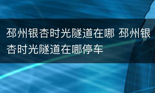 邳州银杏时光隧道在哪 邳州银杏时光隧道在哪停车