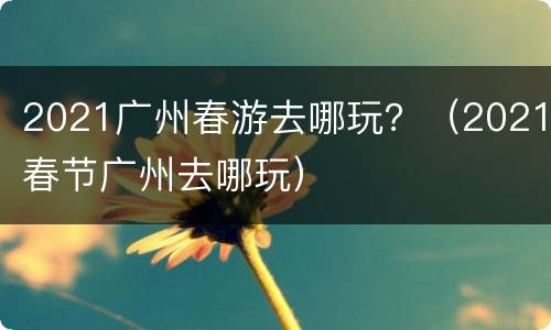 2021广州春游去哪玩？（2021春节广州去哪玩）