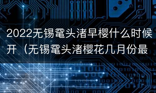 2022无锡鼋头渚早樱什么时候开（无锡鼋头渚樱花几月份最好看）