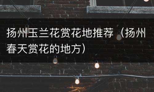 扬州玉兰花赏花地推荐（扬州春天赏花的地方）