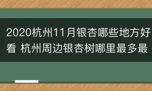 2020杭州11月银杏哪些地方好看 杭州周边银杏树哪里最多最好看