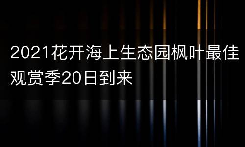 2021花开海上生态园枫叶最佳观赏季20日到来
