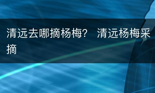 清远去哪摘杨梅？ 清远杨梅采摘