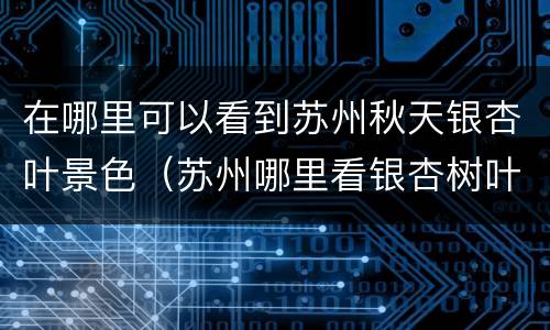 在哪里可以看到苏州秋天银杏叶景色（苏州哪里看银杏树叶）