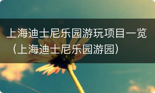 上海迪士尼乐园游玩项目一览（上海迪士尼乐园游园）