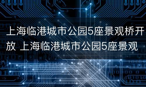 上海临港城市公园5座景观桥开放 上海临港城市公园5座景观桥开放了吗