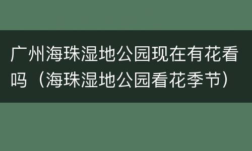 广州海珠湿地公园现在有花看吗（海珠湿地公园看花季节）
