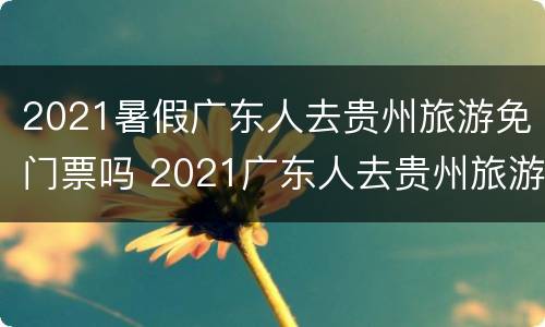 2021暑假广东人去贵州旅游免门票吗 2021广东人去贵州旅游免门票吗?